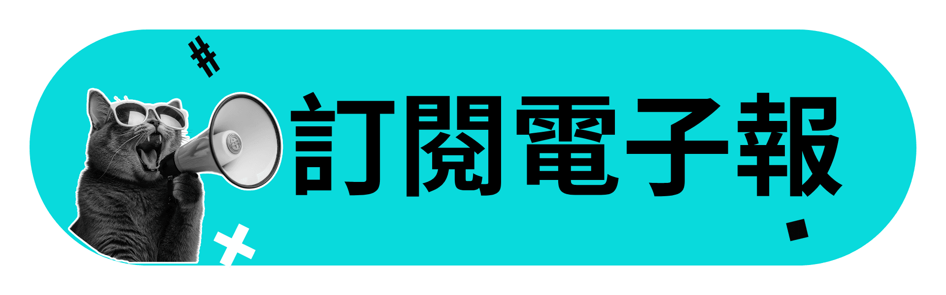 訂閱哈彼電子報
